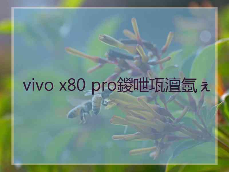 vivo x80 pro鍐呭瓨澶氬ぇ