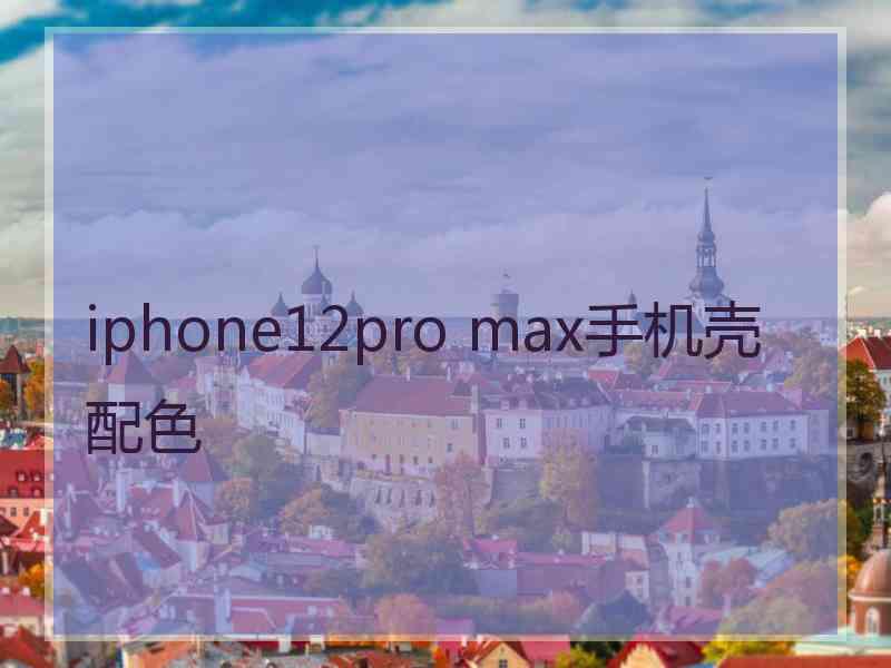 iphone12pro max手机壳配色