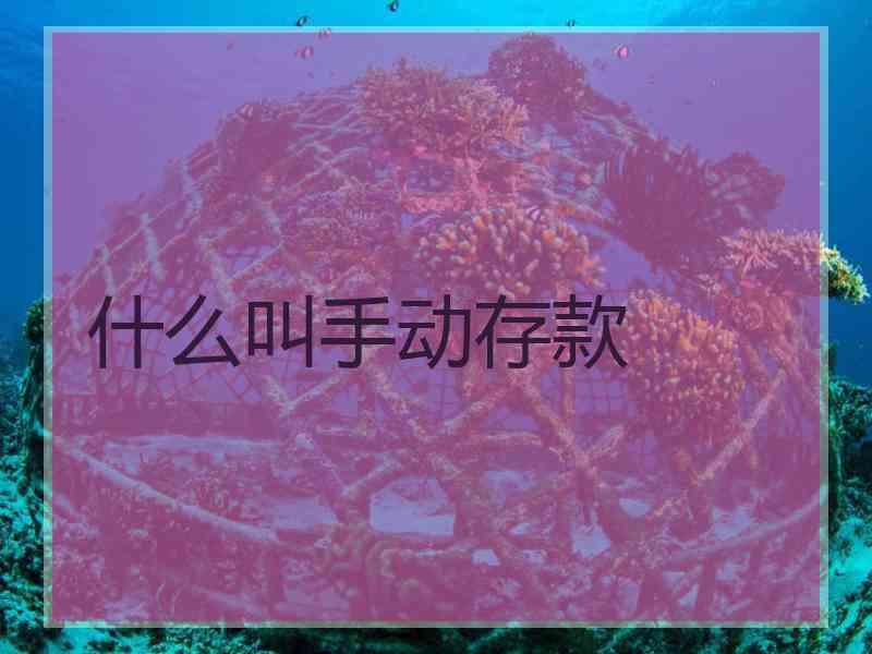 什么叫手动存款