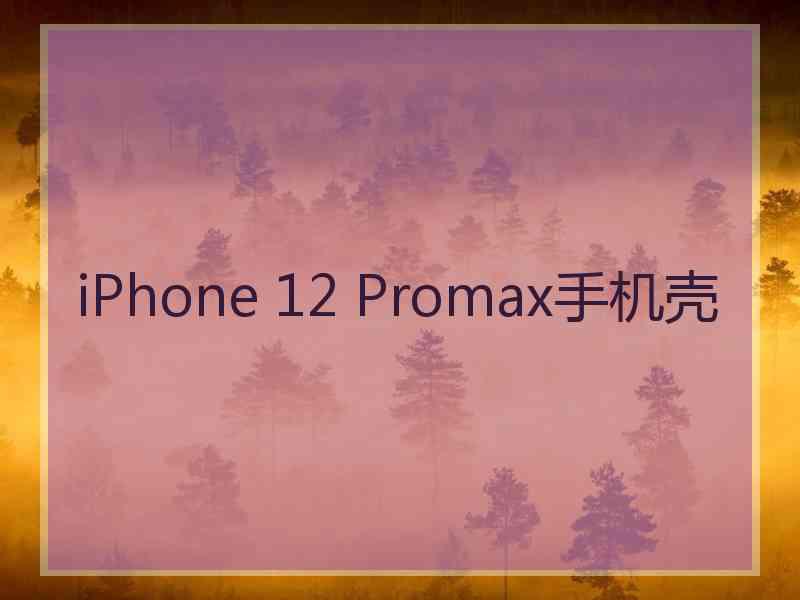 iPhone 12 Promax手机壳