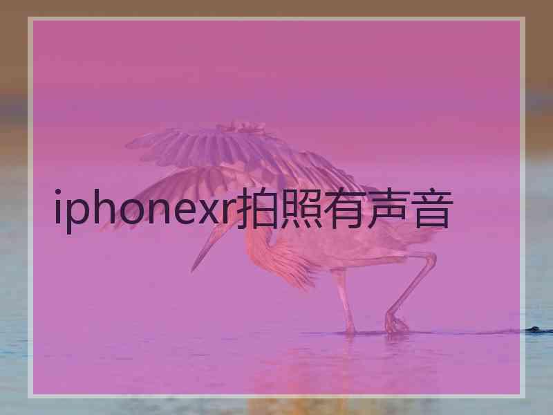 iphonexr拍照有声音