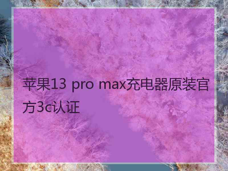 苹果13 pro max充电器原装官方3c认证