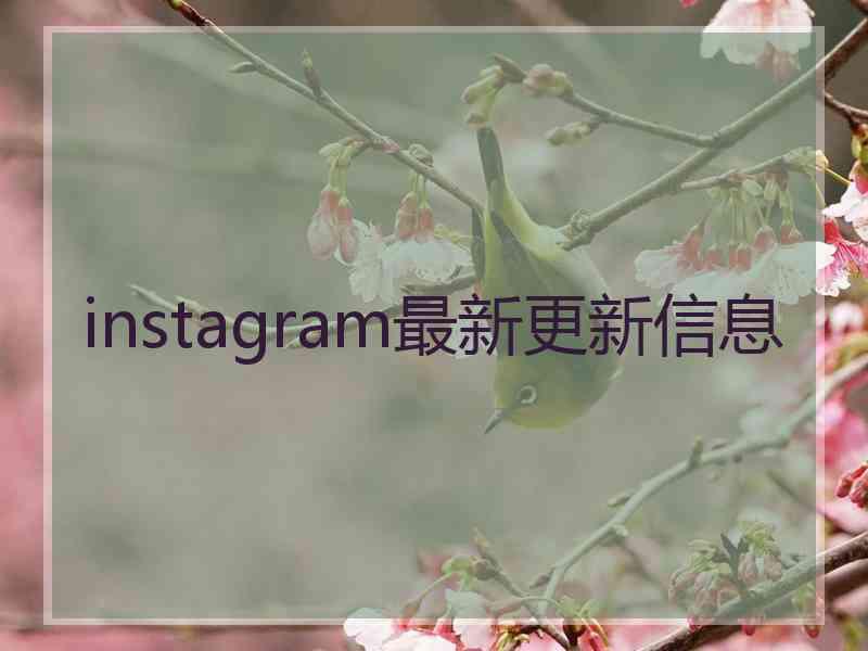 instagram最新更新信息