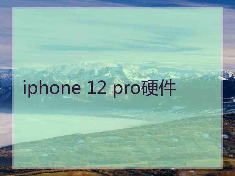 iphone 12 pro硬件