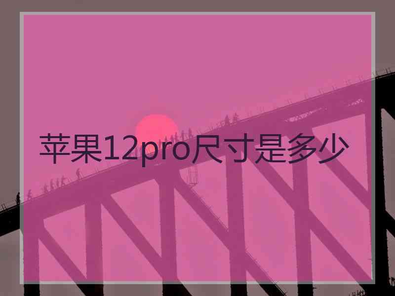 苹果12pro尺寸是多少