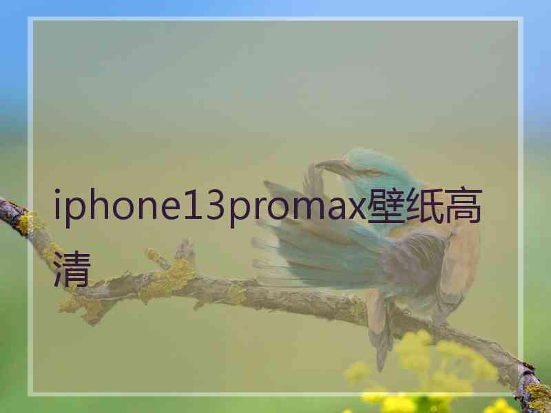 iphone13promax壁纸高清