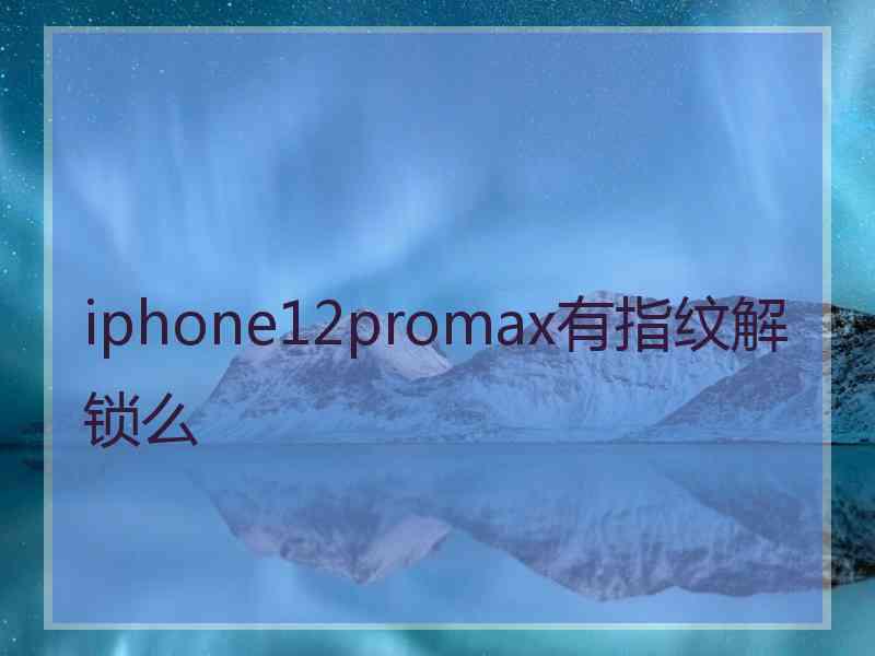 iphone12promax有指纹解锁么