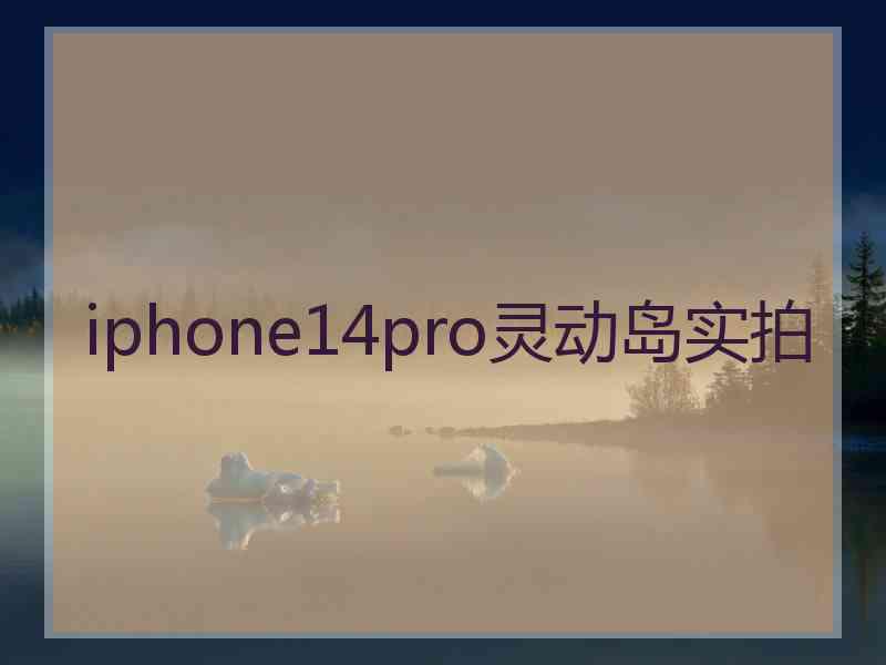 iphone14pro灵动岛实拍