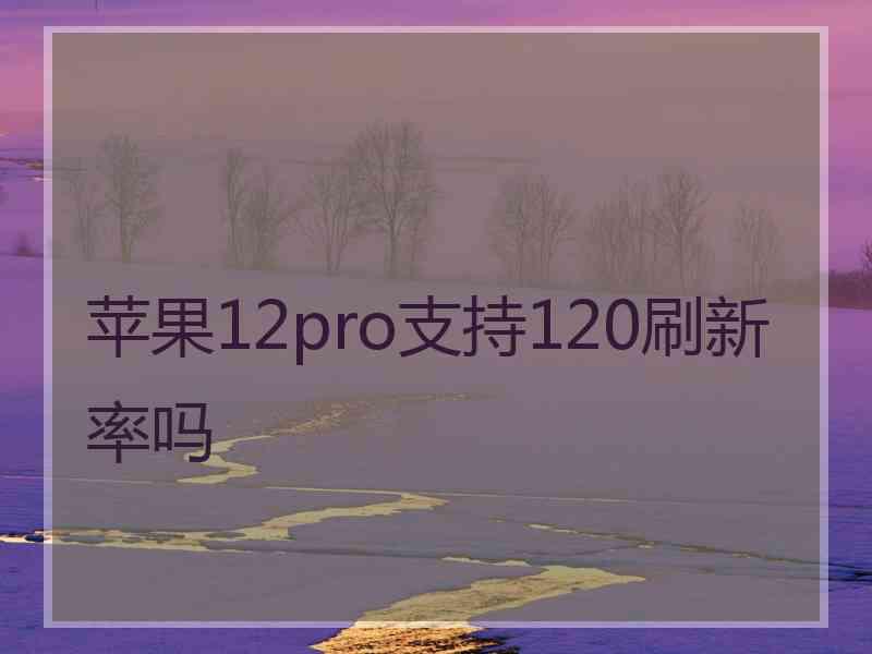 苹果12pro支持120刷新率吗