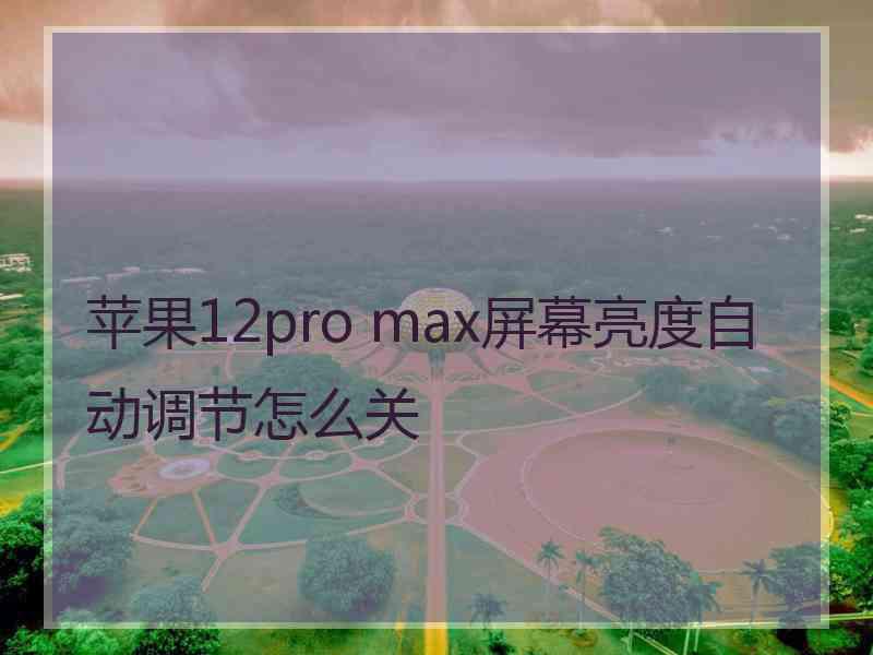 苹果12pro max屏幕亮度自动调节怎么关