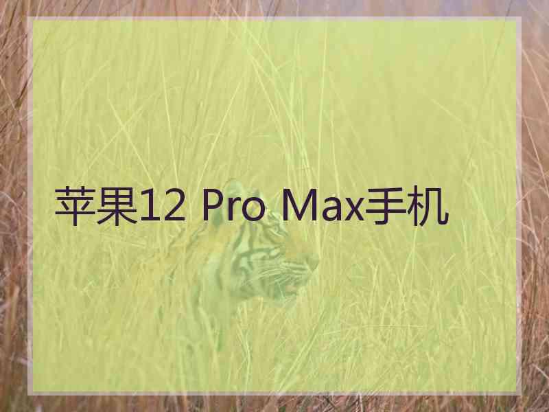 苹果12 Pro Max手机