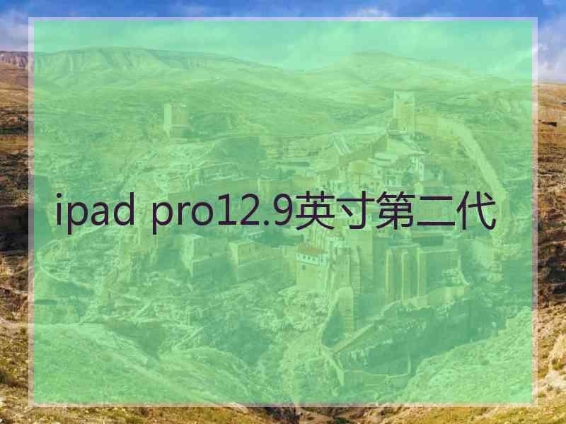 ipad pro12.9英寸第二代