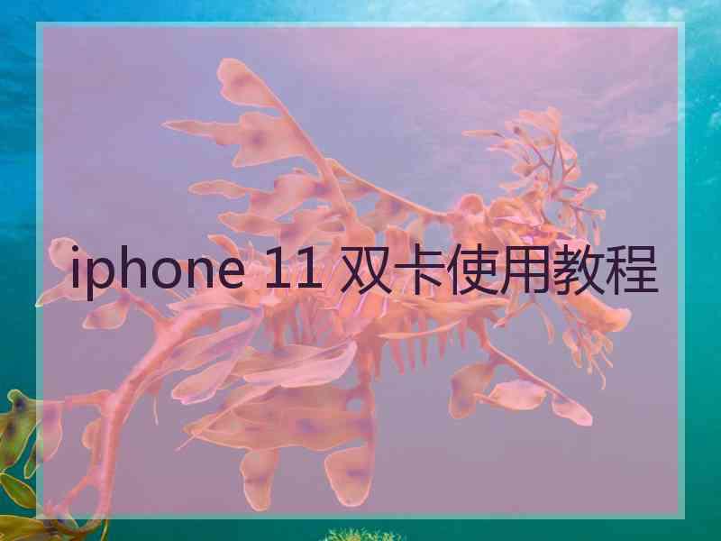 iphone 11 双卡使用教程