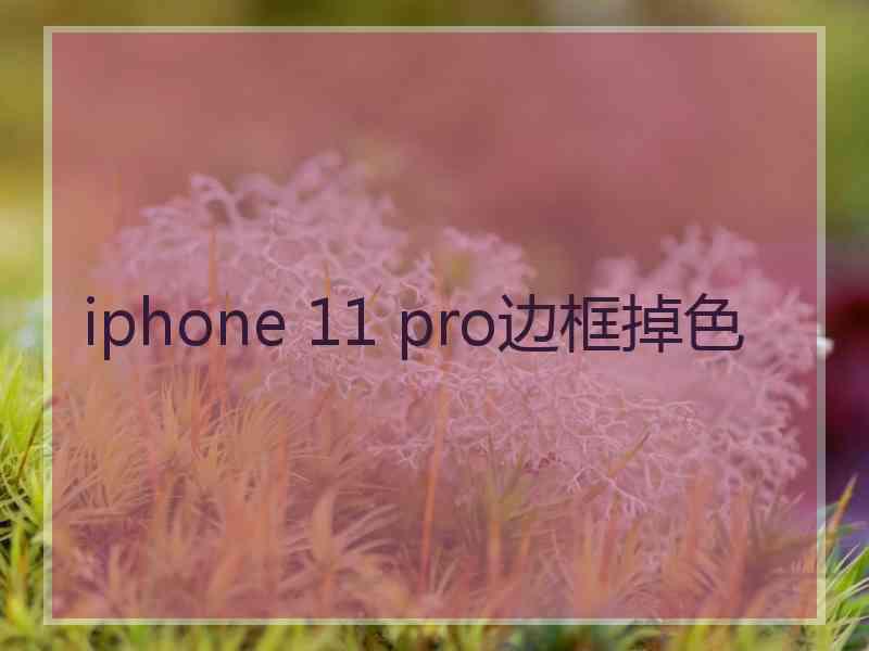 iphone 11 pro边框掉色