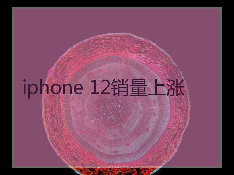 iphone 12销量上涨