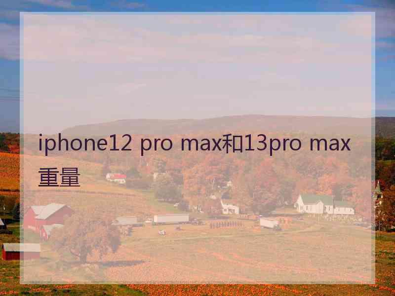 iphone12 pro max和13pro max重量