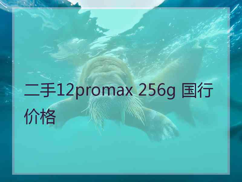 二手12promax 256g 国行价格