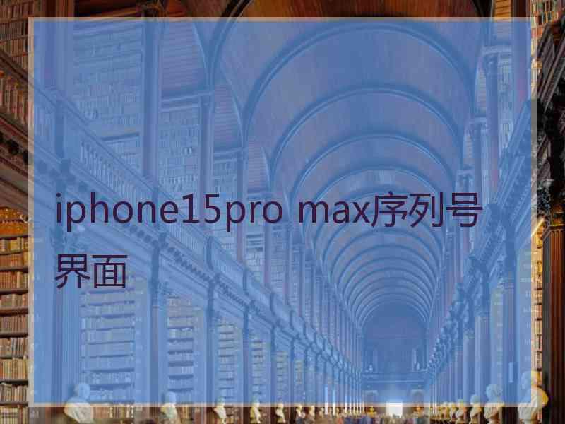 iphone15pro max序列号界面