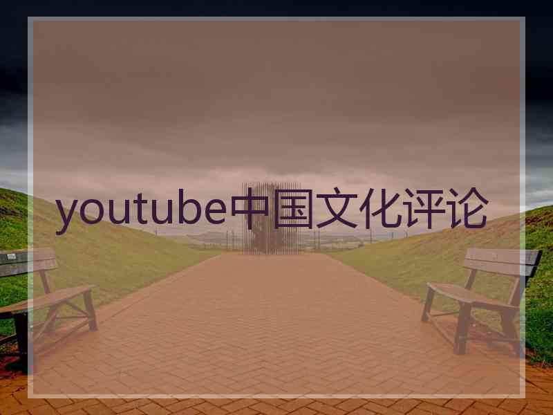 youtube中国文化评论