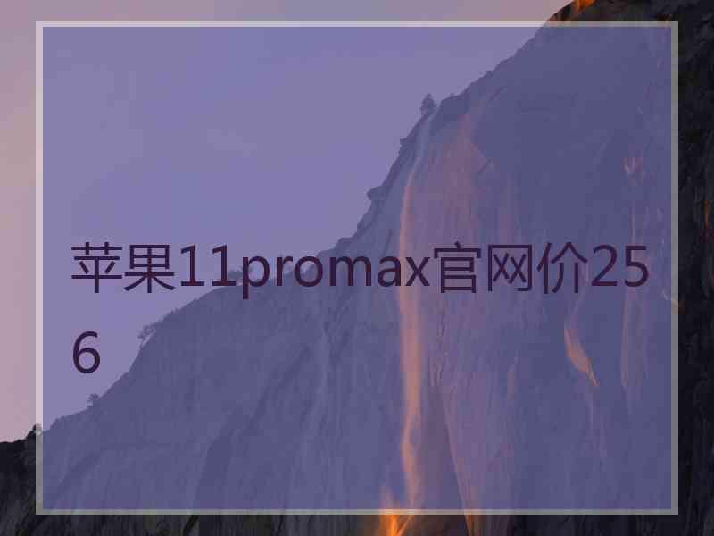 苹果11promax官网价256