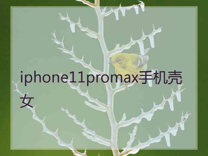 iphone11promax手机壳女