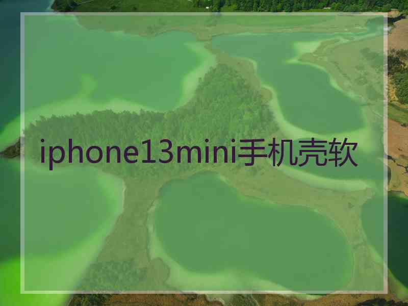 iphone13mini手机壳软