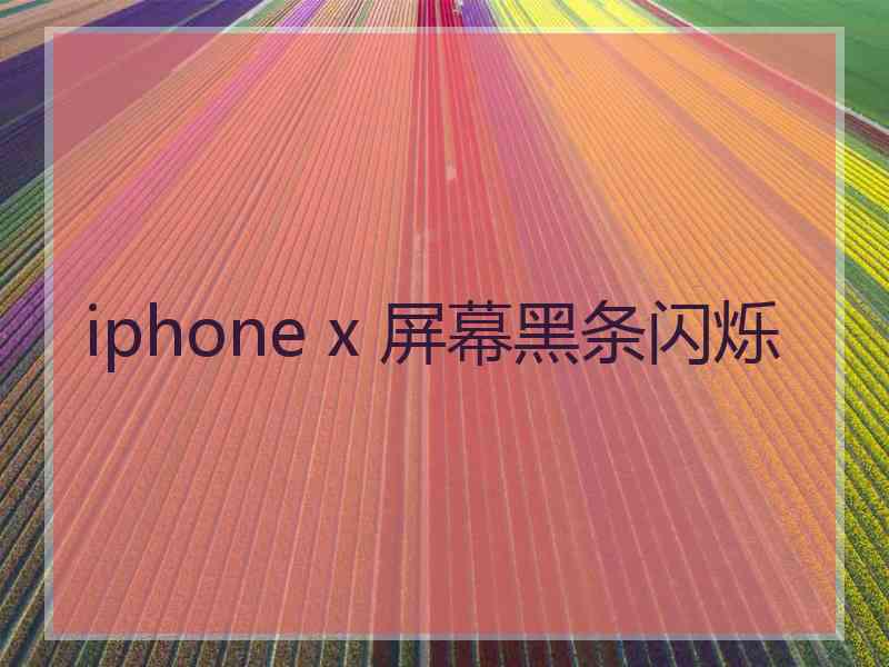 iphone x 屏幕黑条闪烁