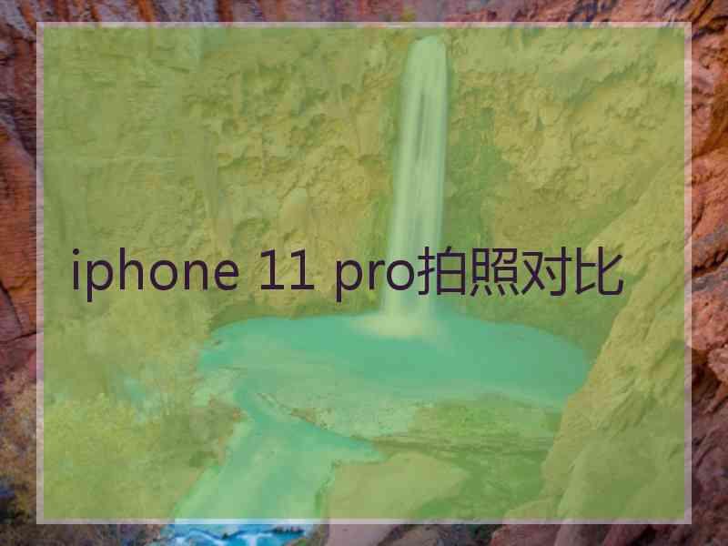 iphone 11 pro拍照对比