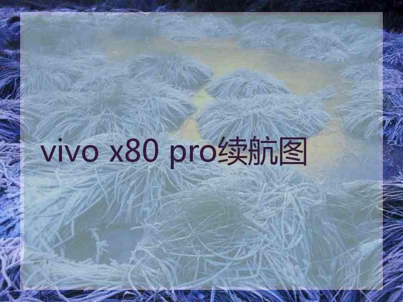 vivo x80 pro续航图