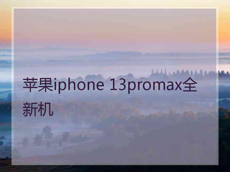 苹果iphone 13promax全新机