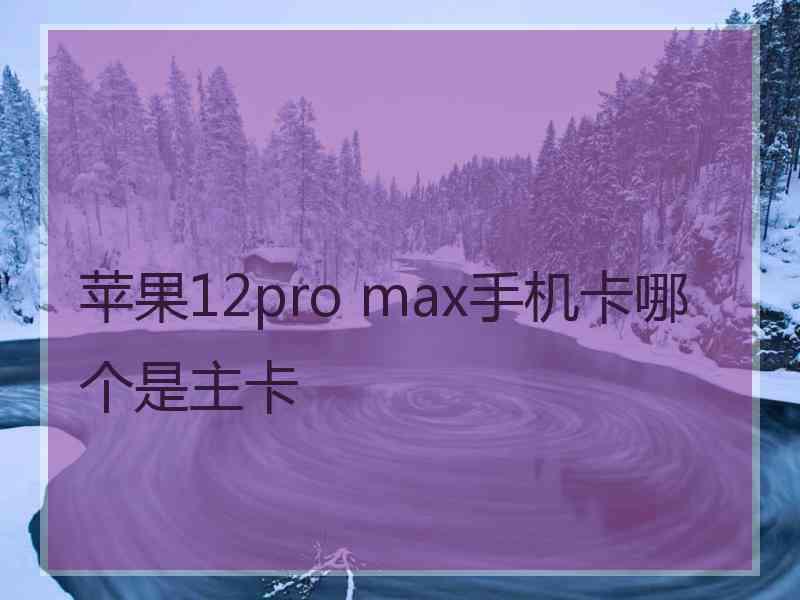 苹果12pro max手机卡哪个是主卡