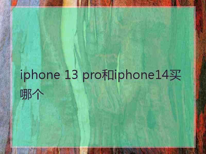 iphone 13 pro和iphone14买哪个