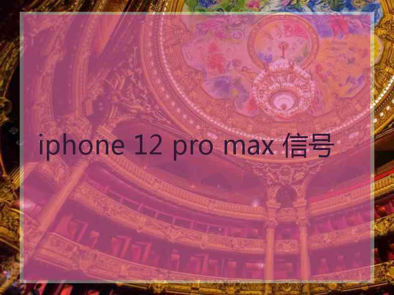 iphone 12 pro max 信号