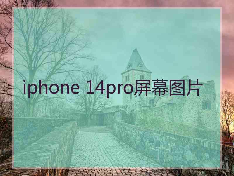 iphone 14pro屏幕图片