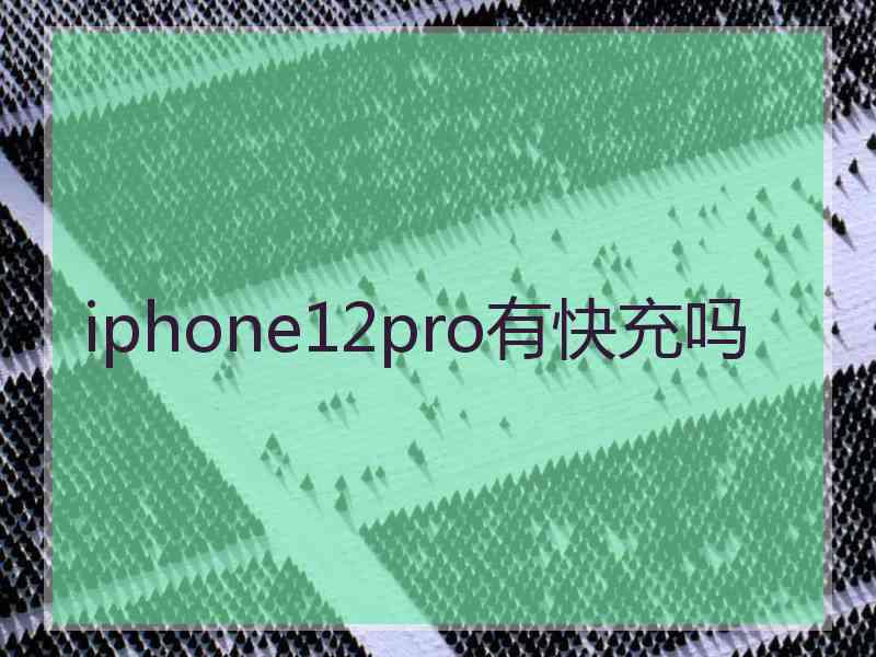 iphone12pro有快充吗