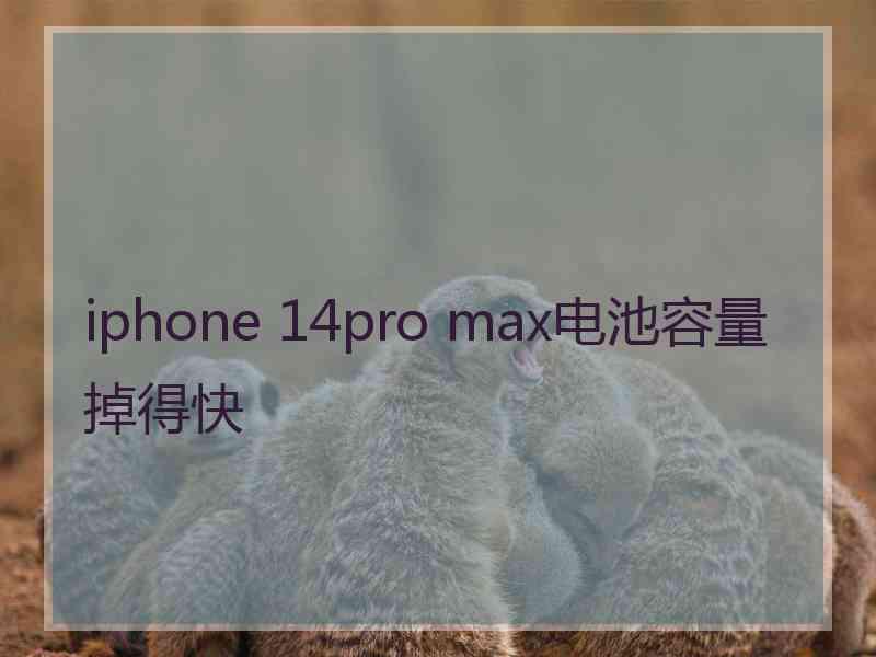 iphone 14pro max电池容量掉得快