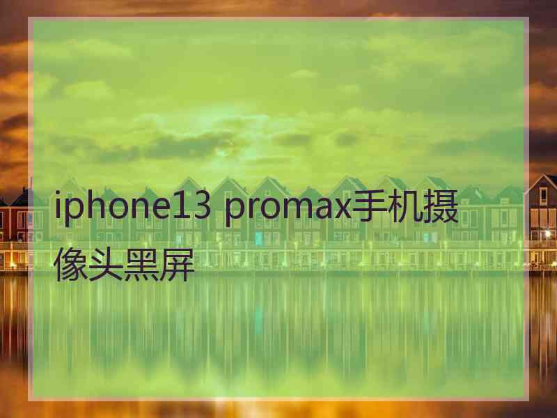 iphone13 promax手机摄像头黑屏