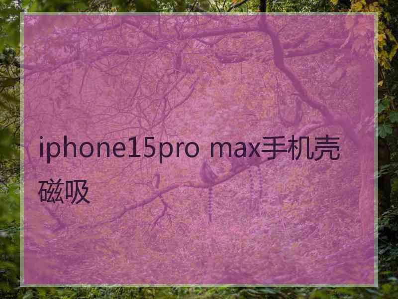 iphone15pro max手机壳磁吸