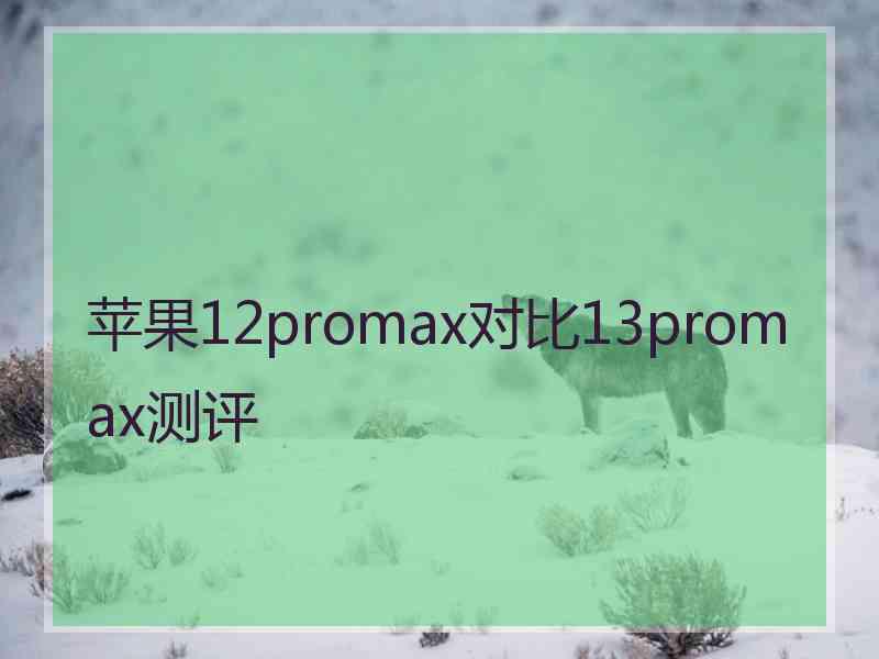 苹果12promax对比13promax测评