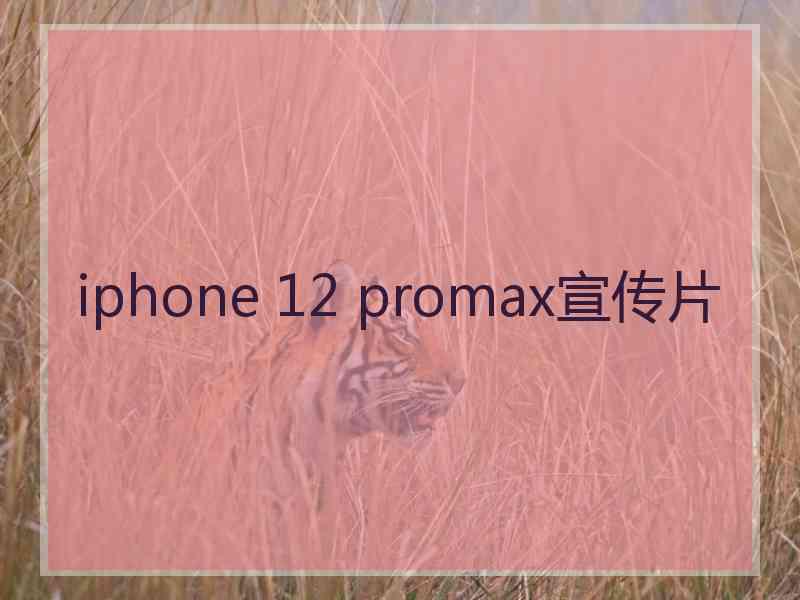 iphone 12 promax宣传片