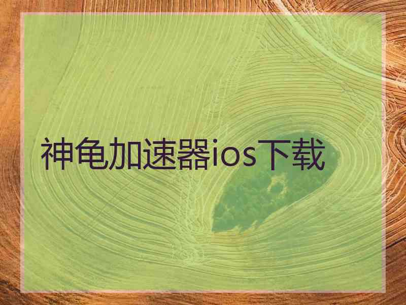 神龟加速器ios下载