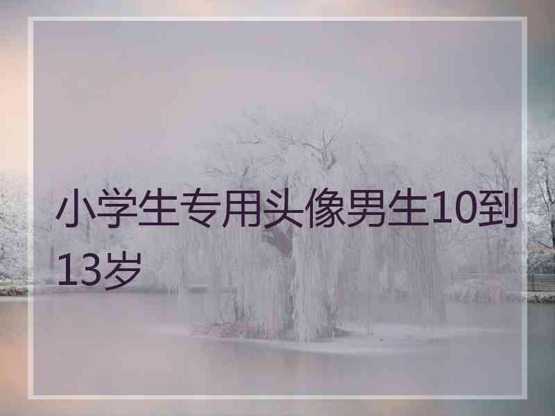 小学生专用头像男生10到13岁