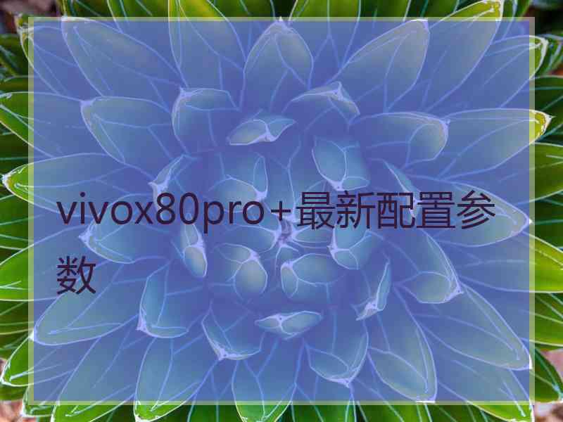 vivox80pro+最新配置参数