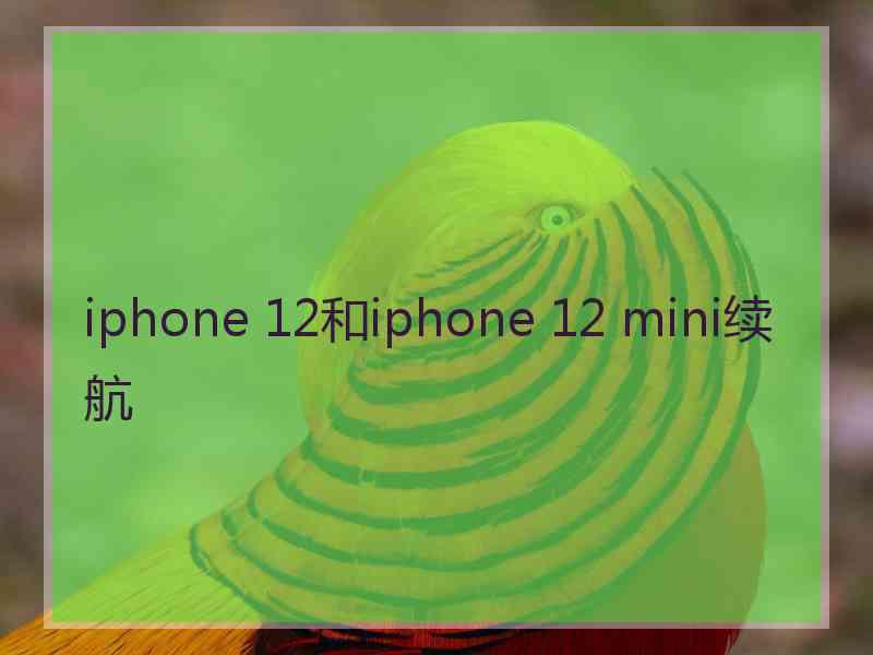 iphone 12和iphone 12 mini续航