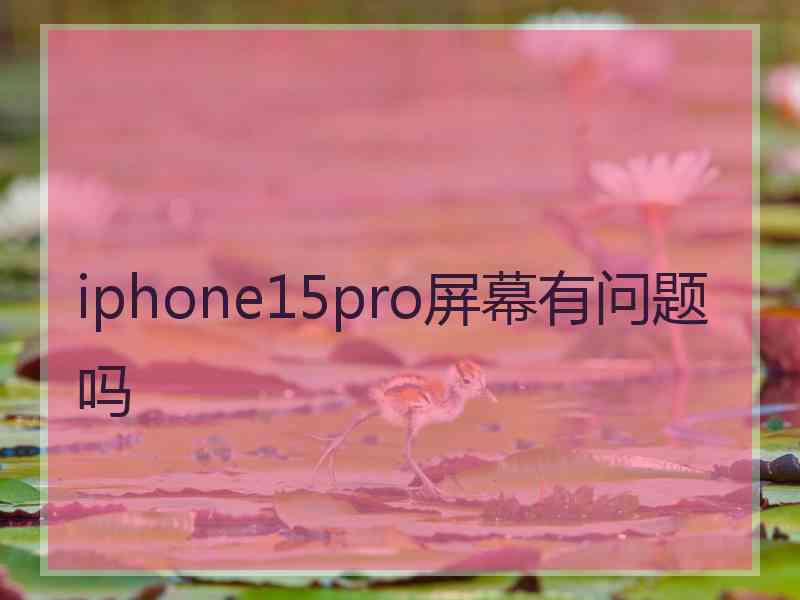 iphone15pro屏幕有问题吗