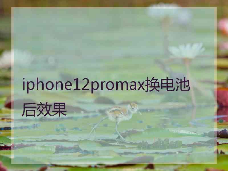 iphone12promax换电池后效果