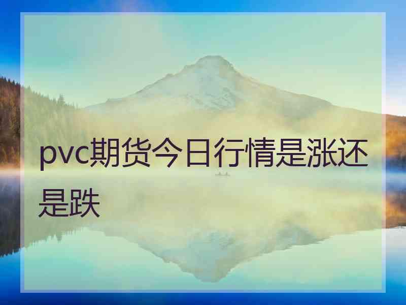 pvc期货今日行情是涨还是跌