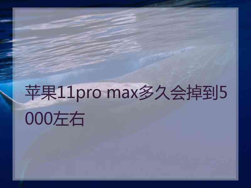 苹果11pro max多久会掉到5000左右