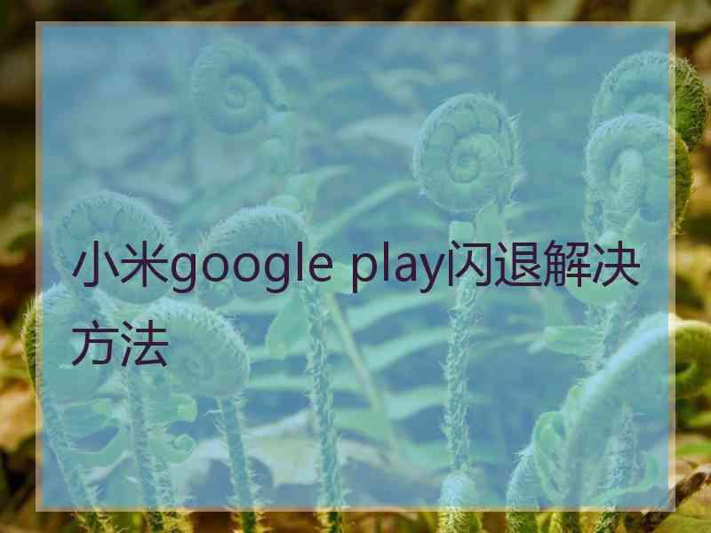 小米google play闪退解决方法