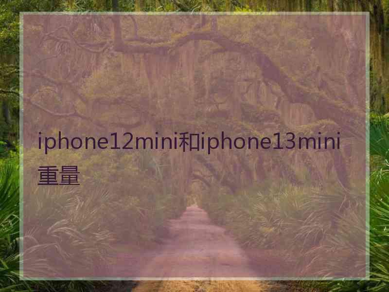 iphone12mini和iphone13mini重量